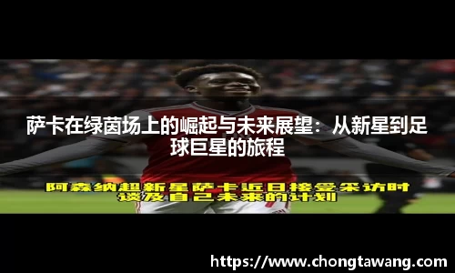 mk体育官网入口