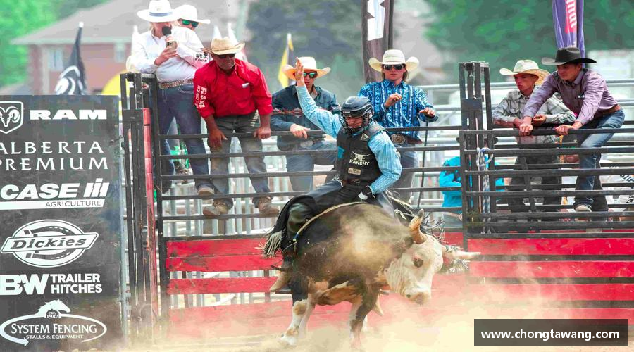 mk体育官网入口汗水浇灌梦想，坚持成就辉煌